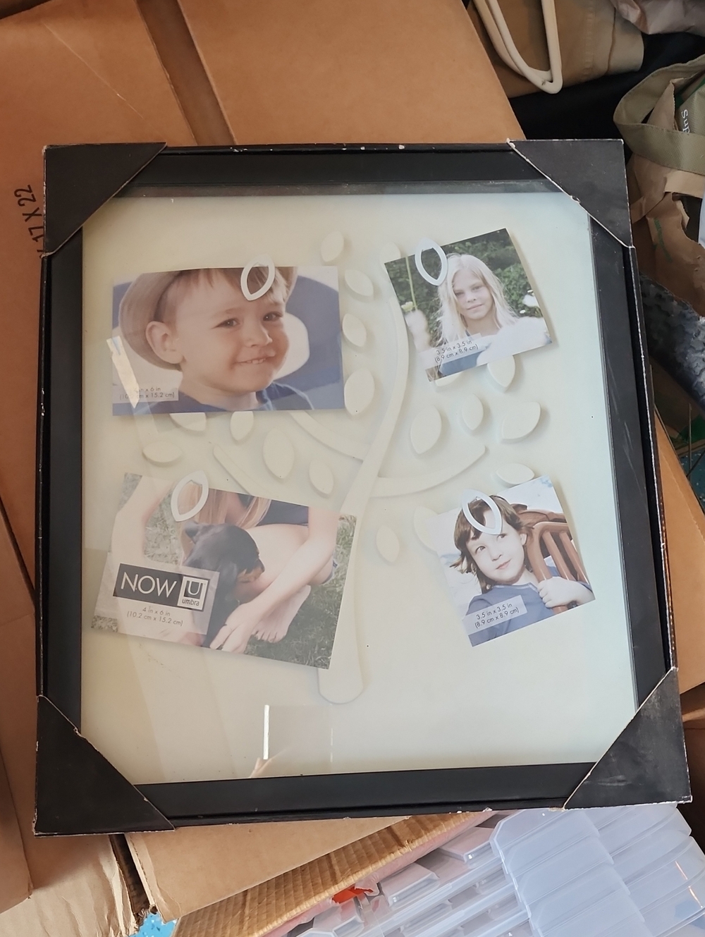 Framed Tree Collage Or Shadow Box Wall Art - Black